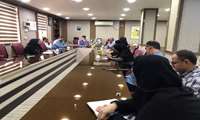 بسیج همگانی در مبارزه با پشه آئدس 